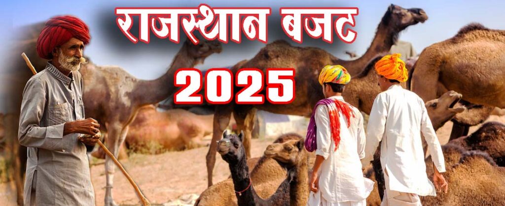 राजस्थान बजट 2025 (Rajasthan Budget 2025) 8 राजस्थान बजट 2025 (Rajasthan Budget 2025)